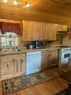 Modern cabin kitchen at Muskie Bay