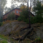 cabin 8 & 9